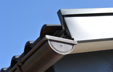 CNEM-roofline (27)